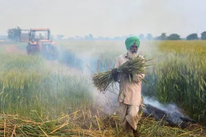 जागरूक हैं किसान, फिर भी जल रही पराली; रिपोर्ट ने बताई असली वजह