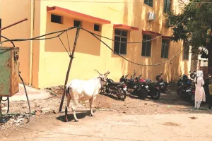 लापरवाही : अस्पताल परिसर में झूलते बिजली के तार