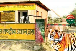 तहसील ने भी कर दी नियम विरुद्ध रजिस्ट्री, डीएफओ ने कलक्टर से लगाई कार्रवाई की गुहार