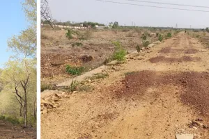बॉटनीकल गार्डन में फायर लाइन के नाम पर 38 लाख का घोटाला, जानें पूरा मामला 