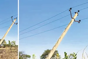खेतों में झूल रही 11 केवी की हाईटेंशन लाइनें बनी खतरा