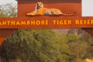 सोशल मीडिया पर वायरल शावकों की तस्वीरों पर रणथम्भौर प्रशासन का स्पष्टीकरण, फर्जी व भ्रामक सामग्री से सावधान रहने की अपील 