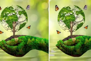 हरित भविष्य की राह : प्रकृति संरक्षण का संकल्प