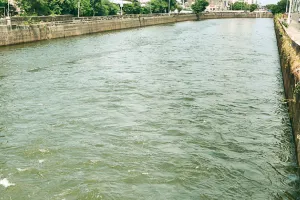 असर खबर का  :  नहरों में बढ़ाया जलप्रवाह, मुरझाई फसलों को मिलेगी संजीवनी