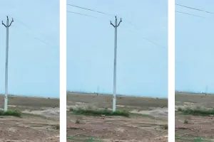 असर खबर का : वन विभाग ने एयरपोर्ट निर्माण एजेंसी को थमाया नोटिस, दर्ज की एफआईआर
