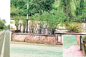 स्मार्ट सिटी में लापरवाही की तस्वीर! करोड़ों के डिवाइडर हुए बैरंग, टाइलें चोरी और सूखे पौधों ने खोली व्यवस्था की पोल