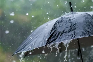 Weather Update : जयपुर सहित कई जिलों में रुक-रुक कर रिमझिम बारिश का दौर जारी, 7 से 10 अगस्त तक भारी बारिश का अलर्ट