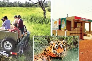  मुकुंदरा के बोराबास में इसी माह शुरू होगी नई जंगल सफारी, पर्यटकों को ऐतिहासिक धरोहरों व वन्यजीवों का मिलेगा रोमांच