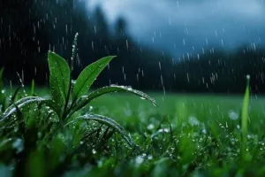 Weather Update : राजस्थान में फिर सक्रिय हुआ मानसून, 7 जिलों में ऑरेंज अलर्ट, 24 में येलो अलर्ट