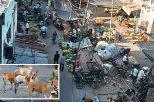 मंडी का जाम, सफाई-पानी की किल्लत, आवारा कुत्ते बने परेशानी