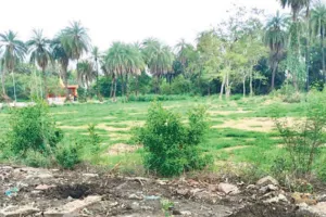 असर खबर का : जिला प्रशासन ने जेडीबी आर्ट्स प्राचार्य से मांगा जवाब