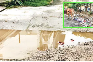 नामी इलाकों में समस्याओं का अंबार, सुविधाएं बदहाल