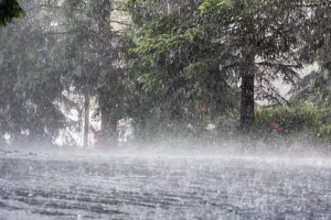 Weather Update : जयपुर सहित कई जिलों में बारिश का दौर जारी, जानें आने वाले दिनों में कैसा रहेगा मौसम