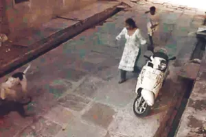 कोटा शहर में नहीं थम रहा आवारा कुत्तों का आतंक : 5 साल की बच्ची पर हमला, जगह-जगह नोंचा