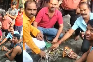 मंदिर में पहुंचा 7 फीट लंबा मगरमच्छ, श्रद्धालुओं में मची अफरा-तफरी