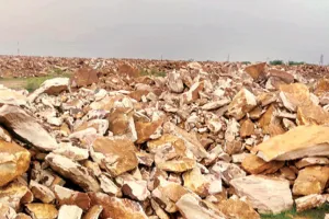 वन अपराध दिखा फिर भी नहीं रोका, कार्रवाई में देरी से सवालों के घेरे में अफसरों की कार्य प्रणाली