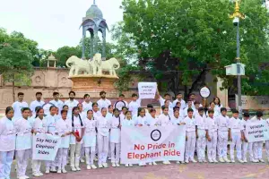 आमेर के बंदी हाथियों की सवारी बंद करने की मांग, विश्व हाथी दिवस पर वर्ल्ड एनिमल प्रोटेक्शन इंडिया ने मुख्यमंत्री से की प्रक्रिया तेज करने की अपील 