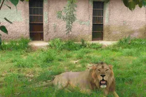 तीन दिन गुलजार रहेगा गुलाबी शहर: रक्षाबंधन और वीकेंड की छुट्टियों का असर, आमेर-हवामहल से लेकर सफारी तक बढ़ सकती है पर्यटकों की रौनक