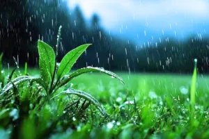 Weather Update : राजस्थान में 13 जिलों में आंधी-बारिश का येलो अलर्ट, जानें आने वाले दिनों में कैसा होगा मौसम का हाल