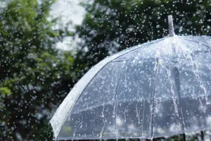 Weather Update : राजस्थान में मानसून का असर बरकरार, 17 सितंबर तक कई संभागों में बारिश और तेज हवाओं का अलर्ट