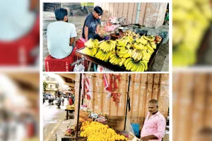  गणेश महोत्सव : रोज 10 लाख के केले और 50 हजार के फूल बिक रहे