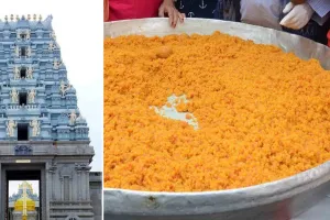तिरुपति के लड्डू में मिलावट का खेल : पाम ऑयल-केमिकल से घी बनाने का ईडी का दावा, सुकृति फूड्स के प्रमोटर कैलाश चंद गिरफ्तार