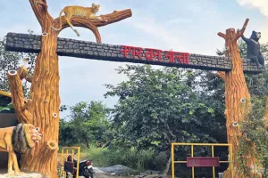 50 हेक्टेयर में जंगल की दुनिया बसा रहा वन्यजीव विभाग