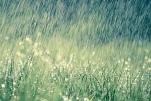 Weather Update : जयपुर सहित कई जिलों में बारिश का दौर जारी, 24 जिलों में येलो अलर्ट