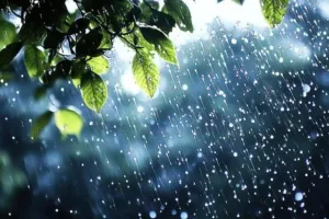 Weather Update : प्रदेश में मानसून फिर सक्रिय होने के आसार, 11 सितंबर से बारिश का नया दौर