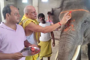 गणेश चतुर्थी पर गजानंद वीरु की भी हुई पूजा, माथे पर बनाया स्वस्तिक