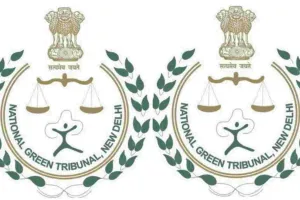 नाहरगढ़ के संजय शर्मा म्यूजियम पर NGT ने खारिज की पर्यावरण याचिका, संयुक्त समिति की जांच में नाला अतिक्रमण और पर्यावरणीय उल्लंघन की पुष्टि नहीं 