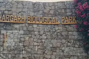 नाहरगढ़ बायोलॉजिकल पार्क में बड़ी कार्रवाई : रेंजर समेत तीन APO, बाघ के हमले में महिला मजदूर की मौत के बाद वन विभाग सख्त