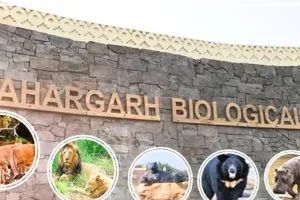 नाहरगढ़ बायोलॉजिकल पार्क में टाइगर-लायन सफारी बंद, मुख्य वन्यजीव प्रतिपालक अरुण प्रसाद ने किया दौरा