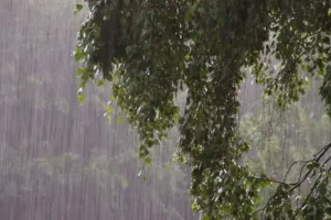 Weather Update : राजस्थान में कमजोर पड़ेगा मानसून, 12 सितंबर से फिर सक्रियता के आसार