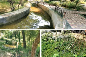 सालाना 7.68 लाख खर्च, फिर भी सूखे पौधे और गंदगी