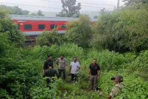 अब भैंसरोडगढ़ सेंचुरी में तैयार होगी टाइगर की फूड चेन