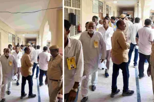 Jaipur Nagar Nigam Chunav 2026 Result: विद्याधर नगर में वार्ड 7, 8 और 9 के नतीजे घोषित, कांग्रेस का दबदबा 
