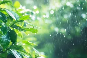 Weather Update : 12 अक्टूबर से बदलेगा राजस्थान का मौसम, उत्तर-पश्चिमी जिलों में बारिश के आसार