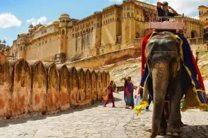 आमेर महल में बंद रहेगी हाथी सफारी, जानें क्या है कारण