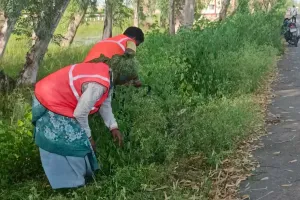 असर खबर का : हाईवे किनारे शुरू हुआ सौंदर्यीकरण कार्य, झाड़ियों और कंटीले बबूल की सफाई शुरू
