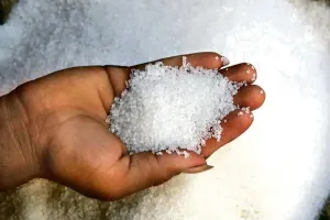 चीनी स्टॉक को लेकर दिल्ली सरकार सख्त, 15 अक्टूबर से 30 नवंबर तक प्रभावी होंगे नियम 