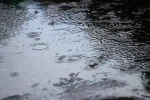 Weather Update : राजस्थान में 16 अक्टूबर तक बारिश का अलर्ट, बीकानेर संभाग में ओलावृष्टि की आशंका