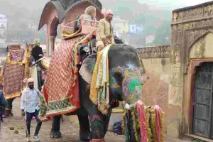 नवरात्र में आमेर महल में हाथी सवारी पर लगेगा ब्रेक, 10 से 21 अक्टूबर तक हाथी सवारी पूरी तरह बंद