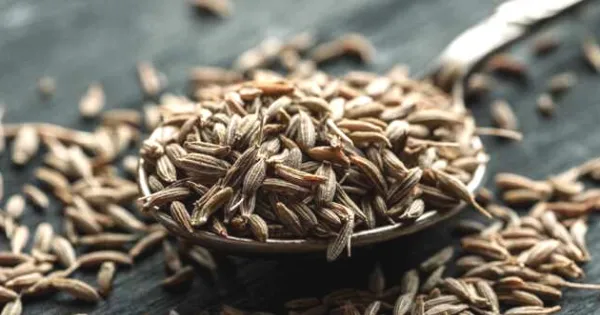 Huge jump in the prices of cumin, the price reached up to 50 thousand