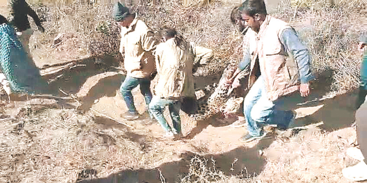 https://dainiknavajyoti.com/media/2025-12/etws-(1200-x-600-px)-(8).png