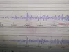 बीकानेर और जैसलमेर में धूजी धरती: सुबह 5.24 बजे आया भूकंप, रिक्टर स्केल पर 5.3 मापी गई तीव्रता