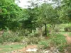  नए कोटा में यूआईटी के पार्क बने तबेले और कचरा घर 