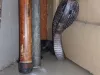 डकनिया स्टेशन अधीक्षक के कक्ष में निकला तीन फीट लंबा कोबरा