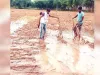 बारिश ने फेरा किसानों के अरमानों पर पानी, किसानों ने सरकार से कि मुआवजे की मांग