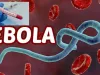 युगांडा में इबोला ने दी दस्तक